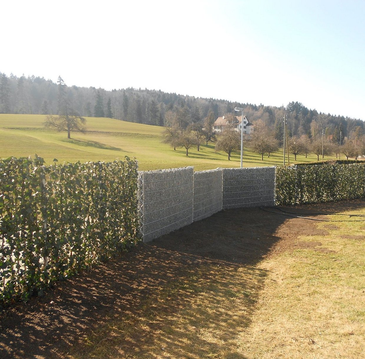 Zaunsteinkörbe Stretto 15: Gabionen als Sichtschutz im Garten.