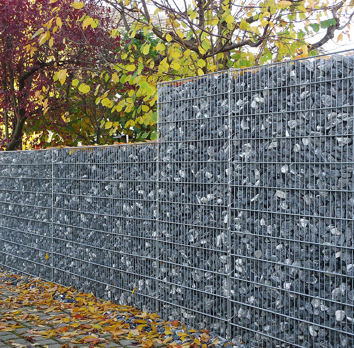 Zaunsteinkörbe Largo 23: Gabionen als Sichtschutz im Garten